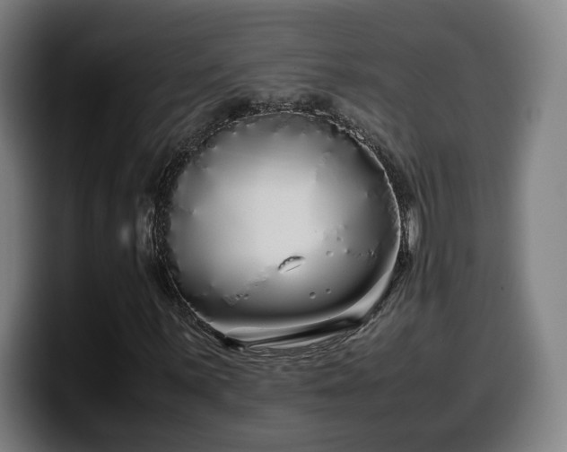 X0000099941059200805301213