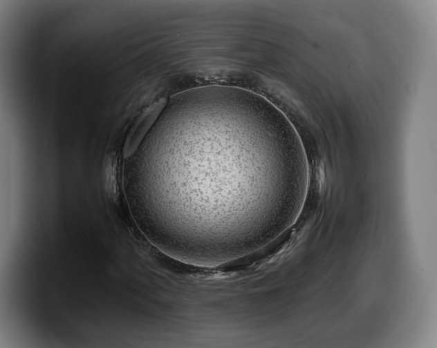X0000099941060200805301213
