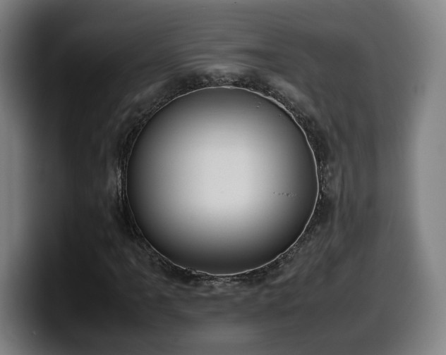X0000099941061200805301213