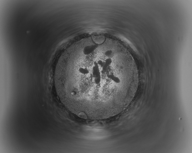 X0000099941063200805301213