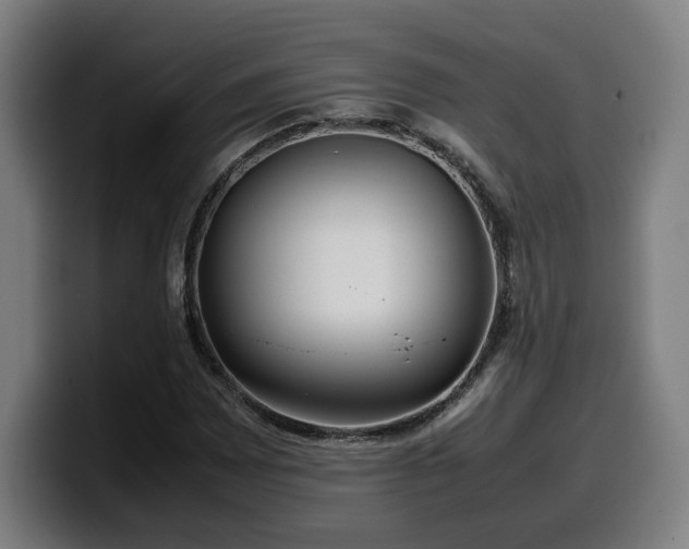 X0000099941065200805301213