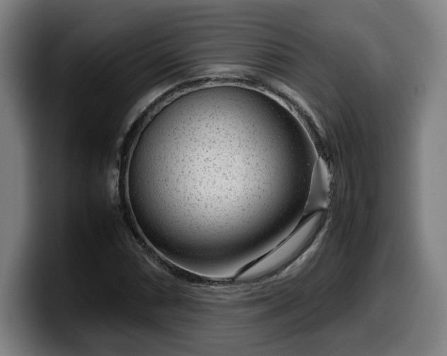 X0000099941066200805301213