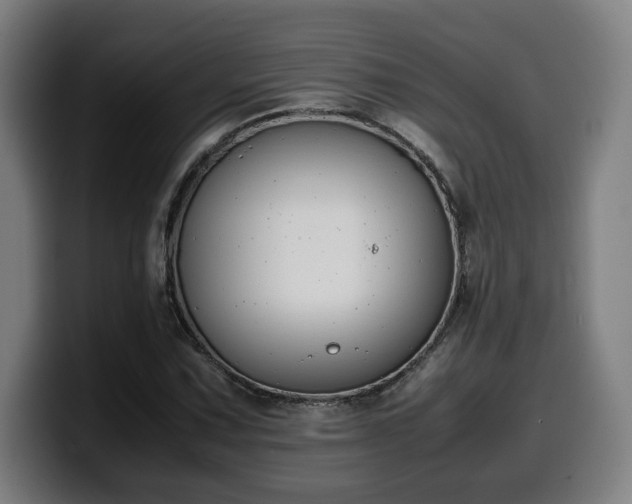 X0000099941067200805301213