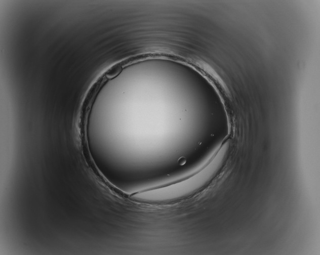 X0000099941068200805301213
