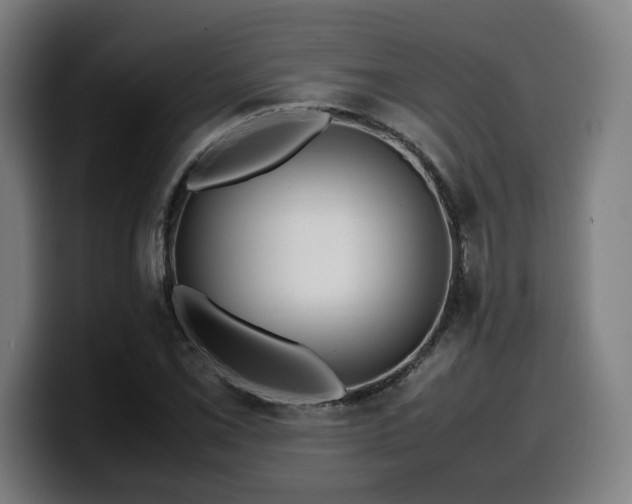 X0000099941069200805301213