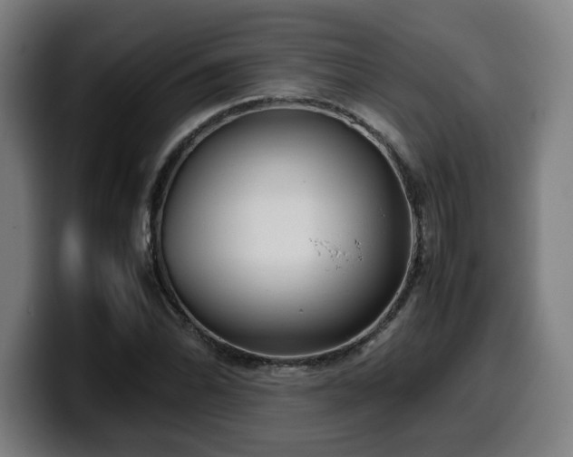 X0000099941070200805301213