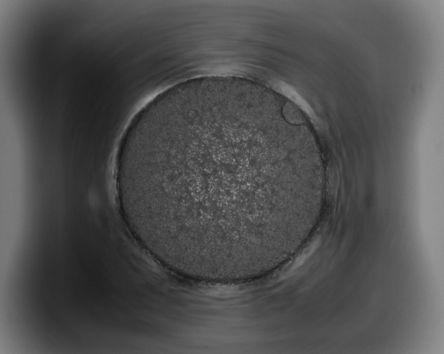 X0000099941071200805301213