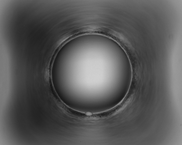 X0000099941073200805301213