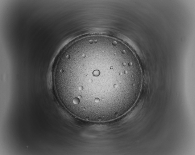 X0000099941075200805301213