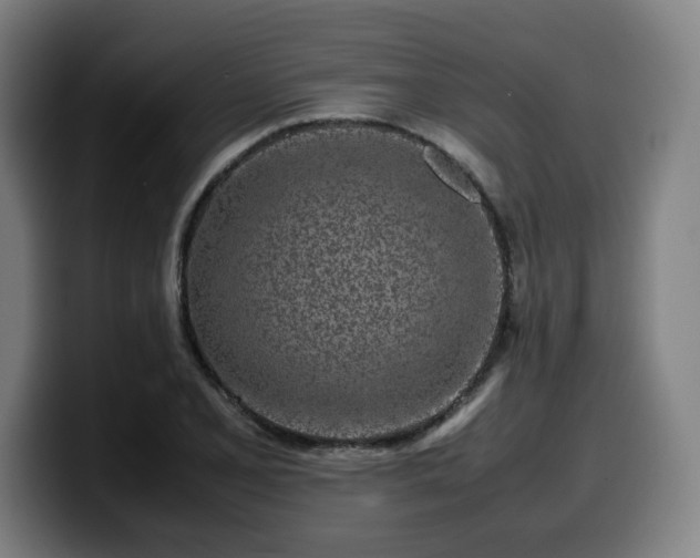 X0000099941077200805301212