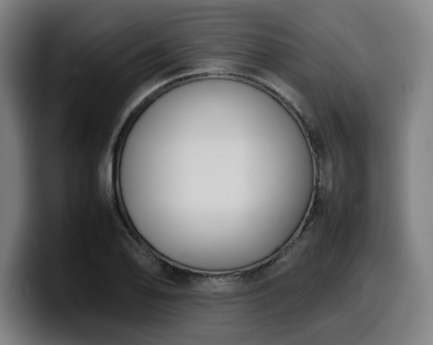X0000099941078200805301212