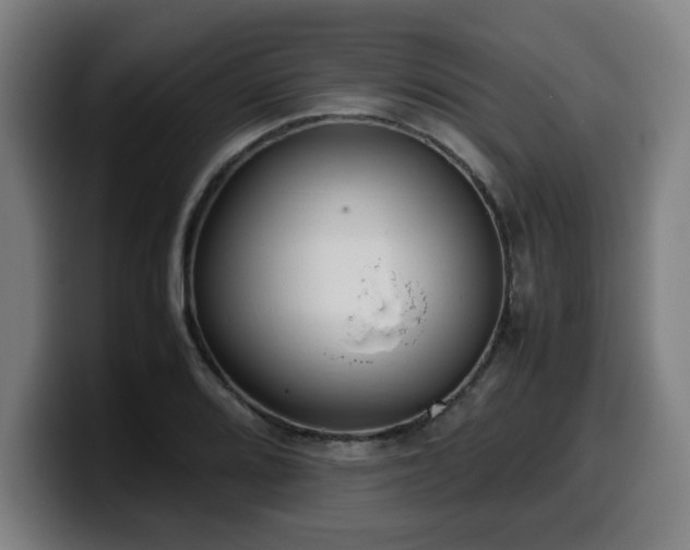 X0000099941080200805301212