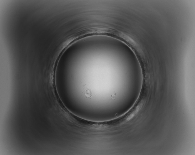 X0000099941081200805301212