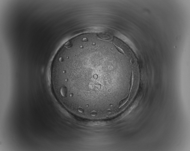 X0000099941083200805301212