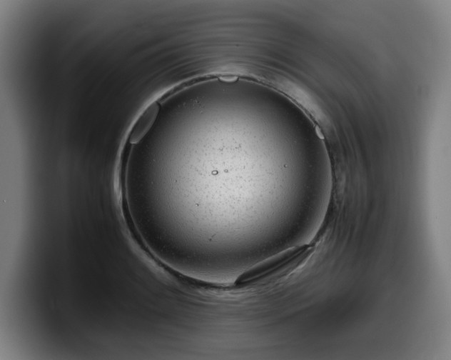 X0000099941084200805301212