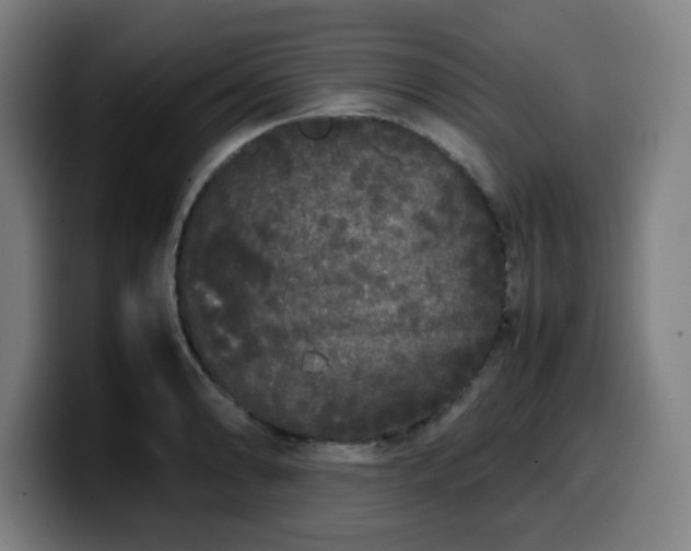 X0000099941086200805301212