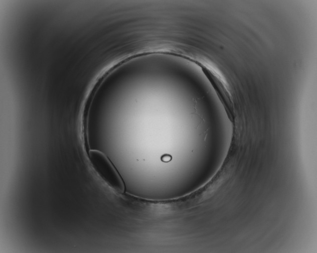 X0000099941088200805301212