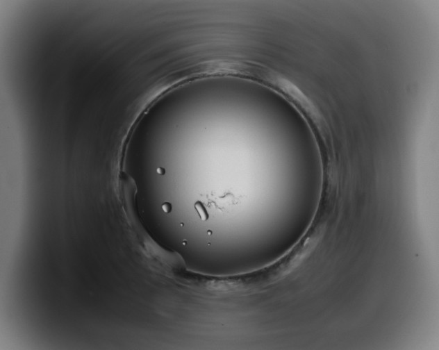 X0000099941089200805301212