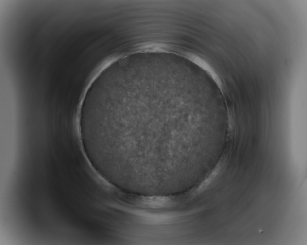 X0000099941090200805301212
