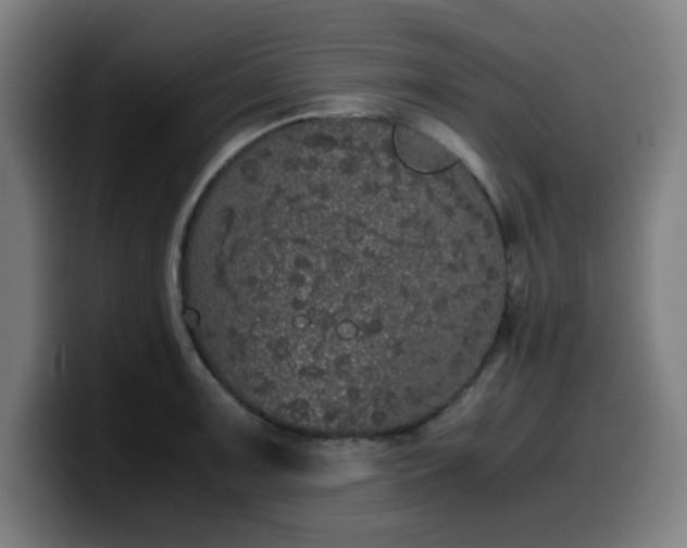 X0000099941091200805301212