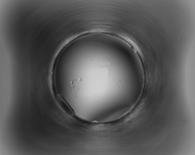 X0000099941093200805301212