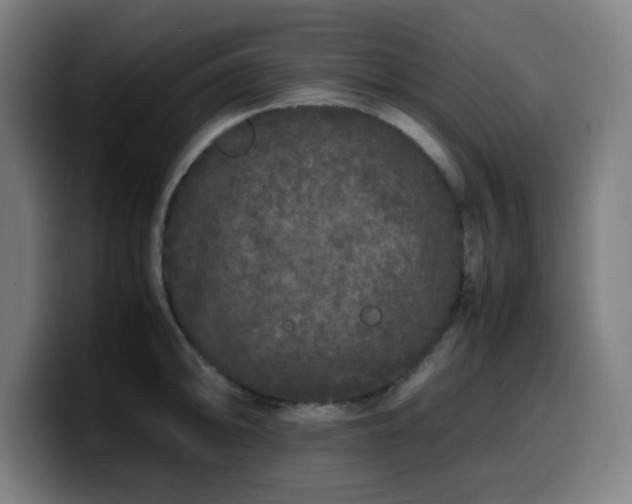 X0000099941094200805301212
