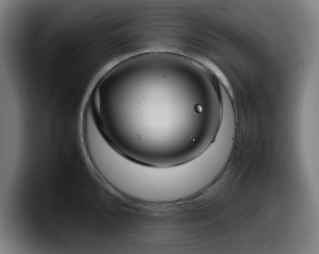 X0000099941096200805301212