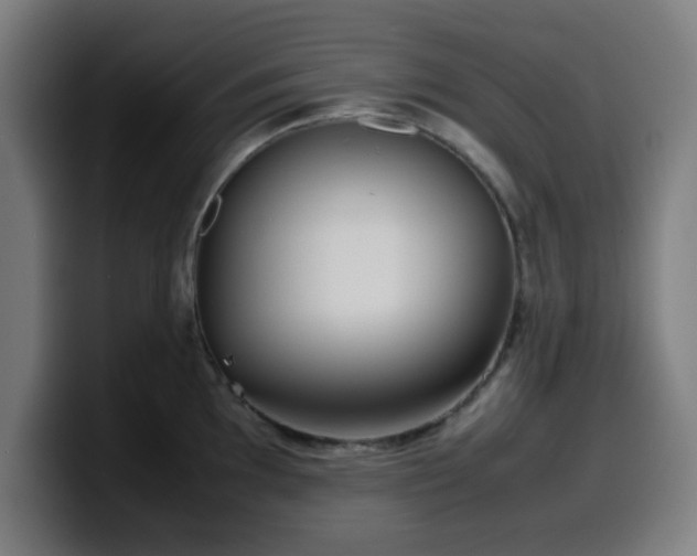 X0000099941097200805301212