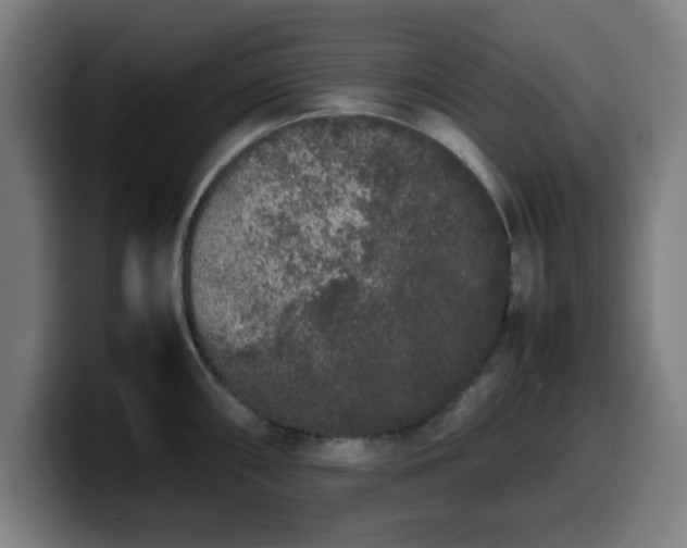 X0000099941098200805301212
