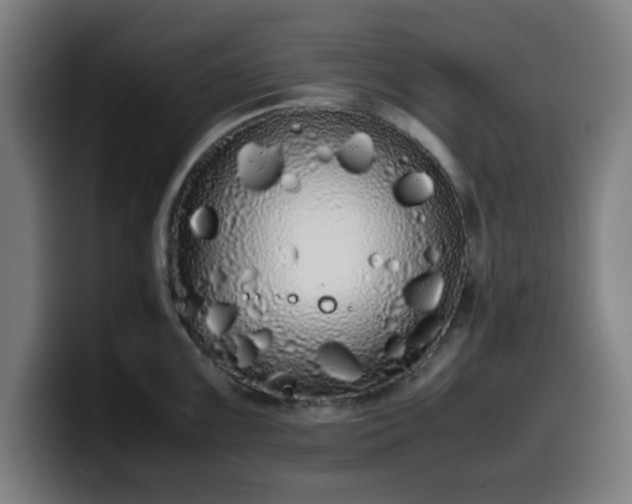 X0000099941099200805301212