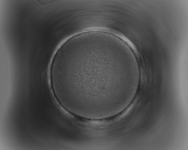 X0000099941102200805301212
