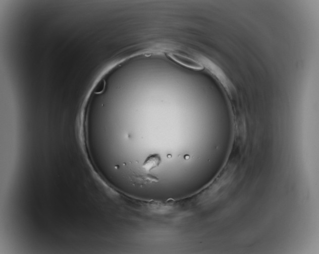 X0000099941103200805301212