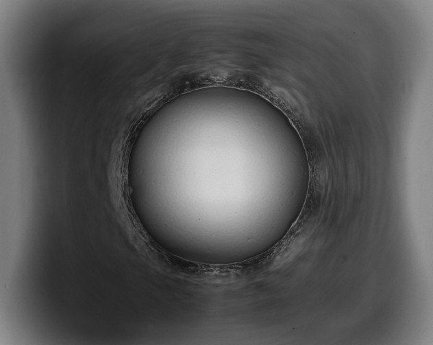 X0000099941105200805301212
