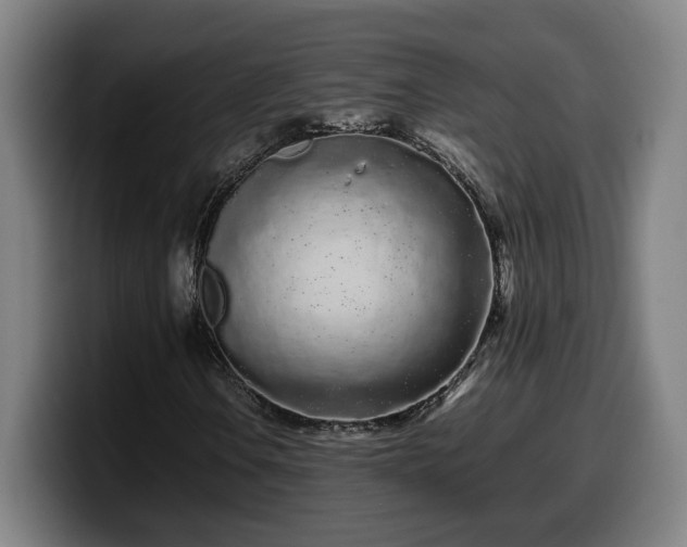 X0000099941106200805301212