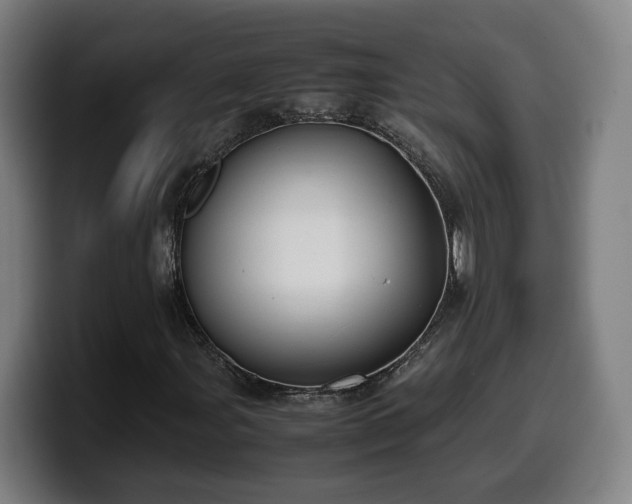 X0000099941107200805301212
