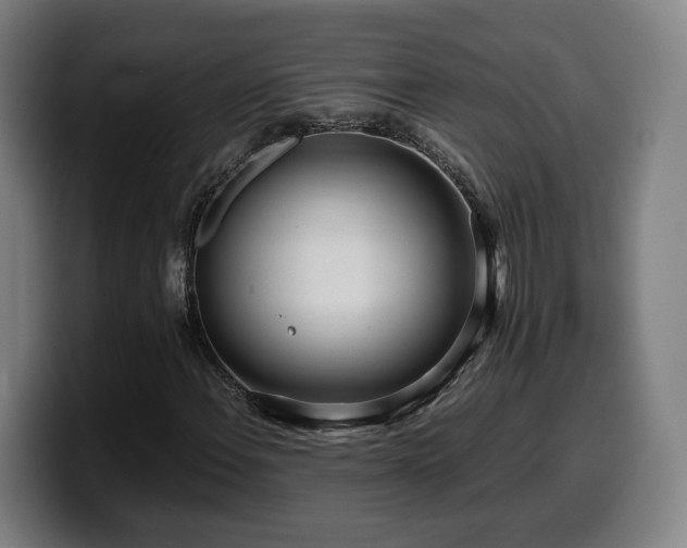 X0000099941108200805301212