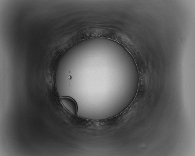 X0000099941109200805301212