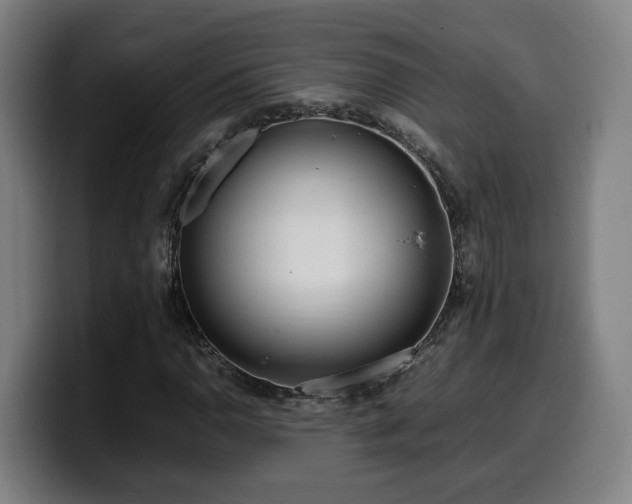 X0000099941110200805301212
