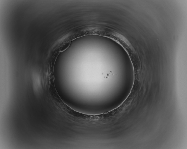 X0000099941111200805301212