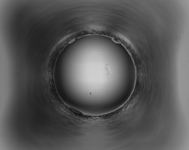 X0000099941112200805301212
