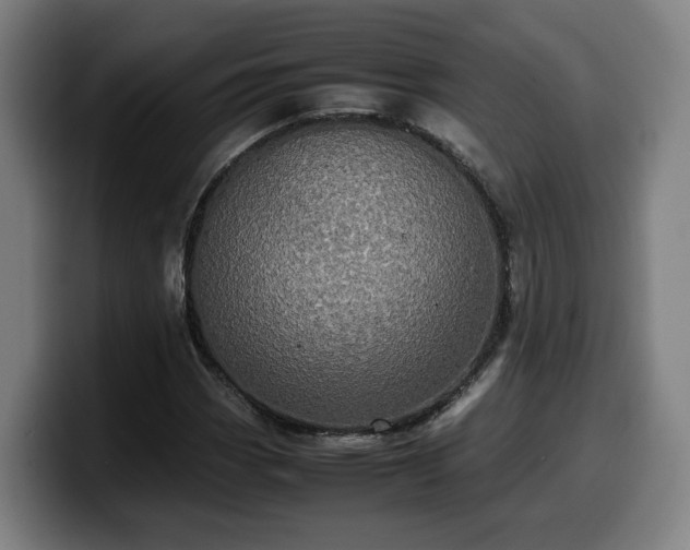 X0000099941113200805301212