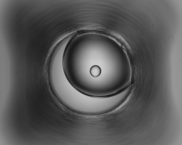 X0000099941114200805301212