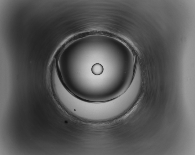 X0000099941118200805301212