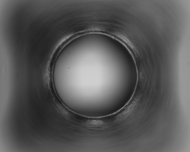 X0000099941119200805301212