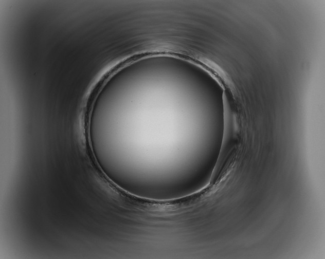 X0000099941120200805301212