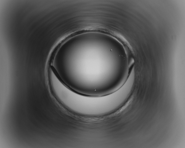 X0000099941122200805301212