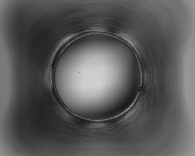 X0000099941123200805301212