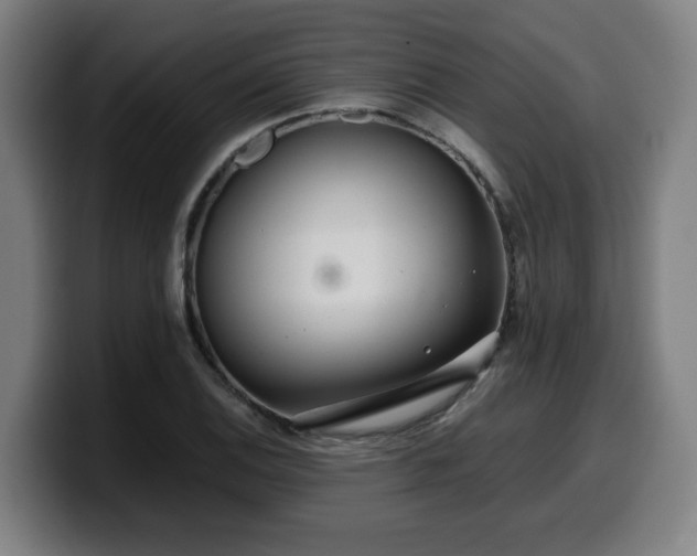 X0000099941124200805301212