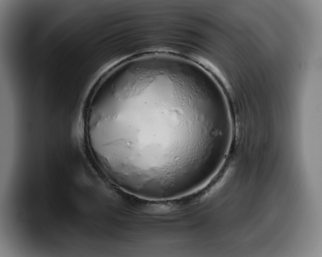 X0000099941125200805301212