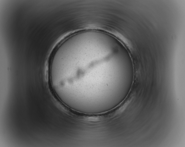 X0000099941126200805301212